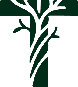 TRIIBE Symbol Green